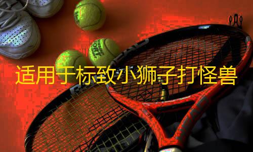 适用于标致小狮子打怪兽车尾标志贴301 308 408 508 打怪兽车贴